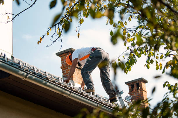 Best Roof Leak Repair  in Warrenton, VA